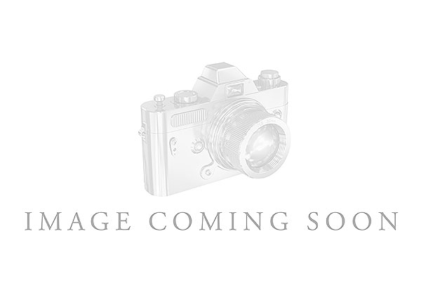 E274-97009: LDS WED RG